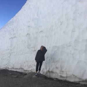 Meet your Posher, Fel